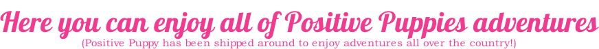 Here you can enjoy all of Positive Puppies adventures (Positive Puppy has been shipped around to enjoy adventures all over the country!)